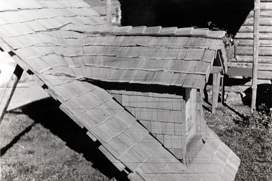 Gaube mit Holzschindeln