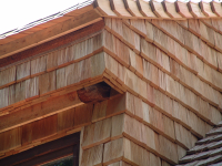 Unterkonstruktion Dach